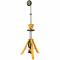 DeWALT 20V Max Cordless Tripod Light (Tool Only)