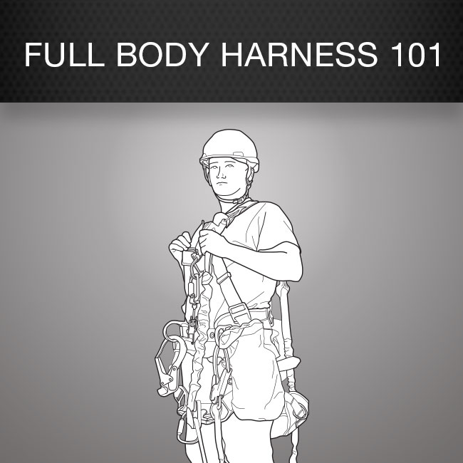 Fall Protection Harness (Full Body Harness 101) Safety Poster by Columbia Safety and Supply