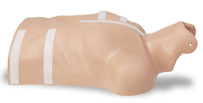 AED Plus Demo Manikin from Columbia Safety